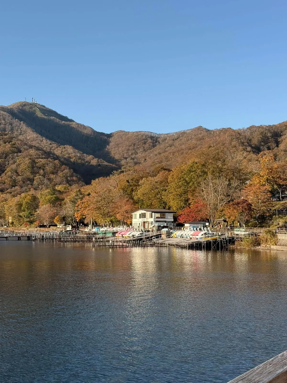 ทะเลสาบชิโคสึในฤดูใบไม้ร่วง ท่าเรือเป็ดถีบริมทะเลสาบ